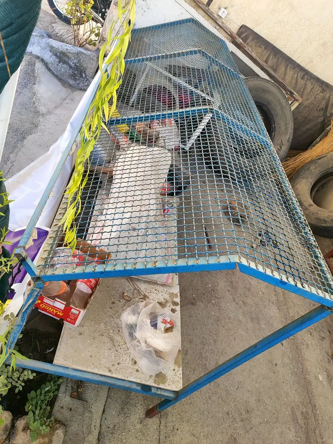 میز مخصوص میوه فروشی|فروشگاه و مغازه|جوانرود, |دیوار