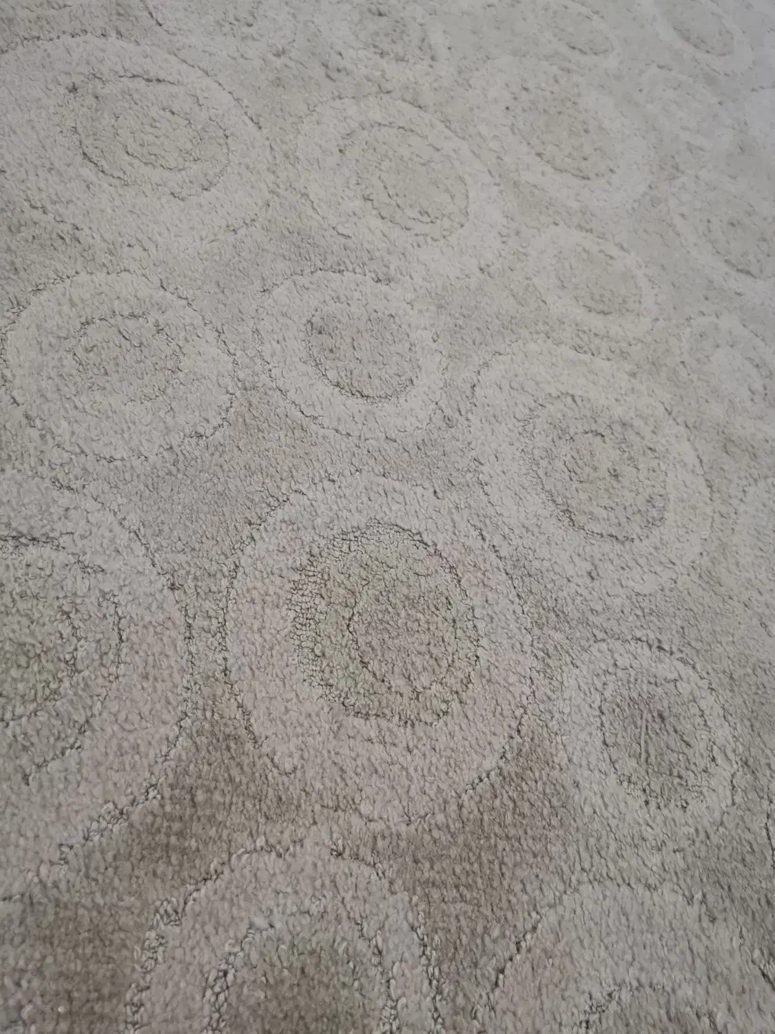 موکت پالاز و پشتی نو|موکت|ایلام, |دیوار