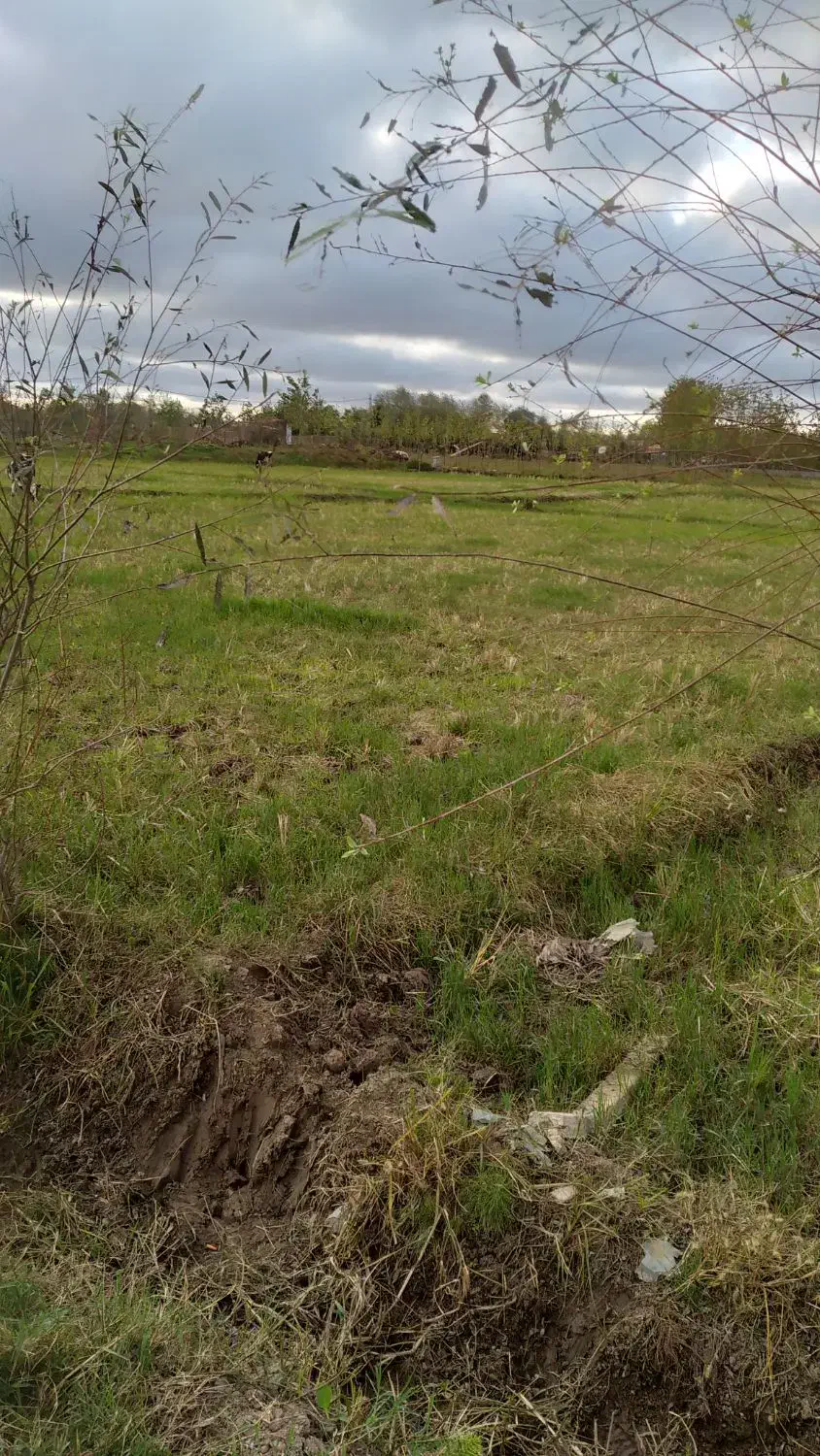 زمین ۳۳۸ متری برای سرمایهگذاری|فروش زمین و ملک کلنگی|رشت, کوی طالقانی|دیوار