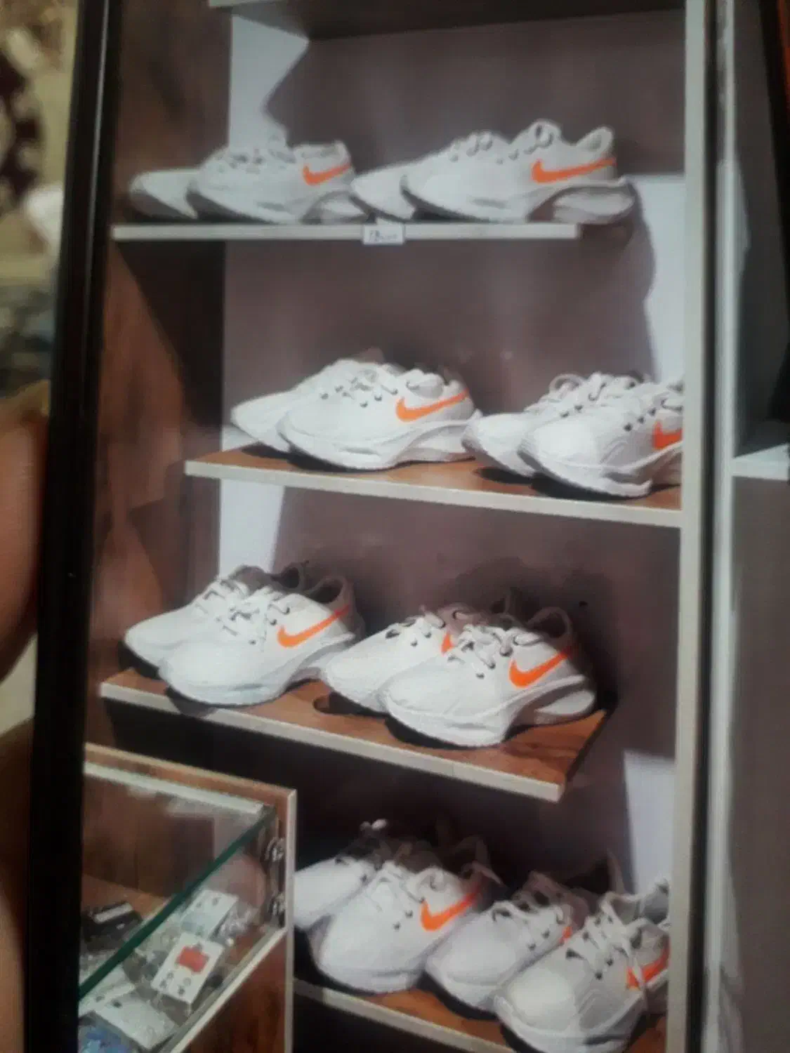 کفش نو|کیف، کفش، کمربند|ایلام, |دیوار