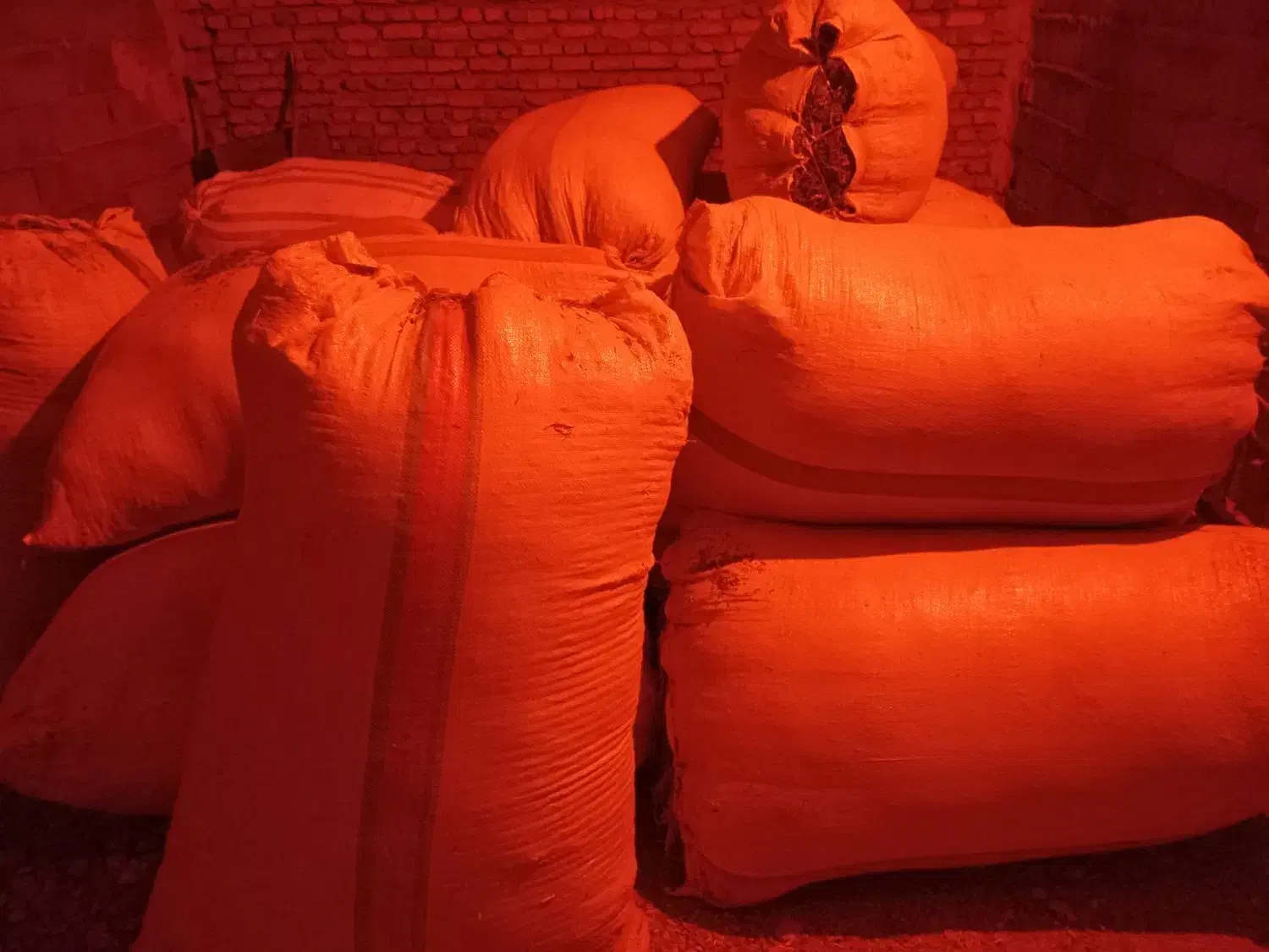 یونجه|عمدهفروشی|باوله, |دیوار