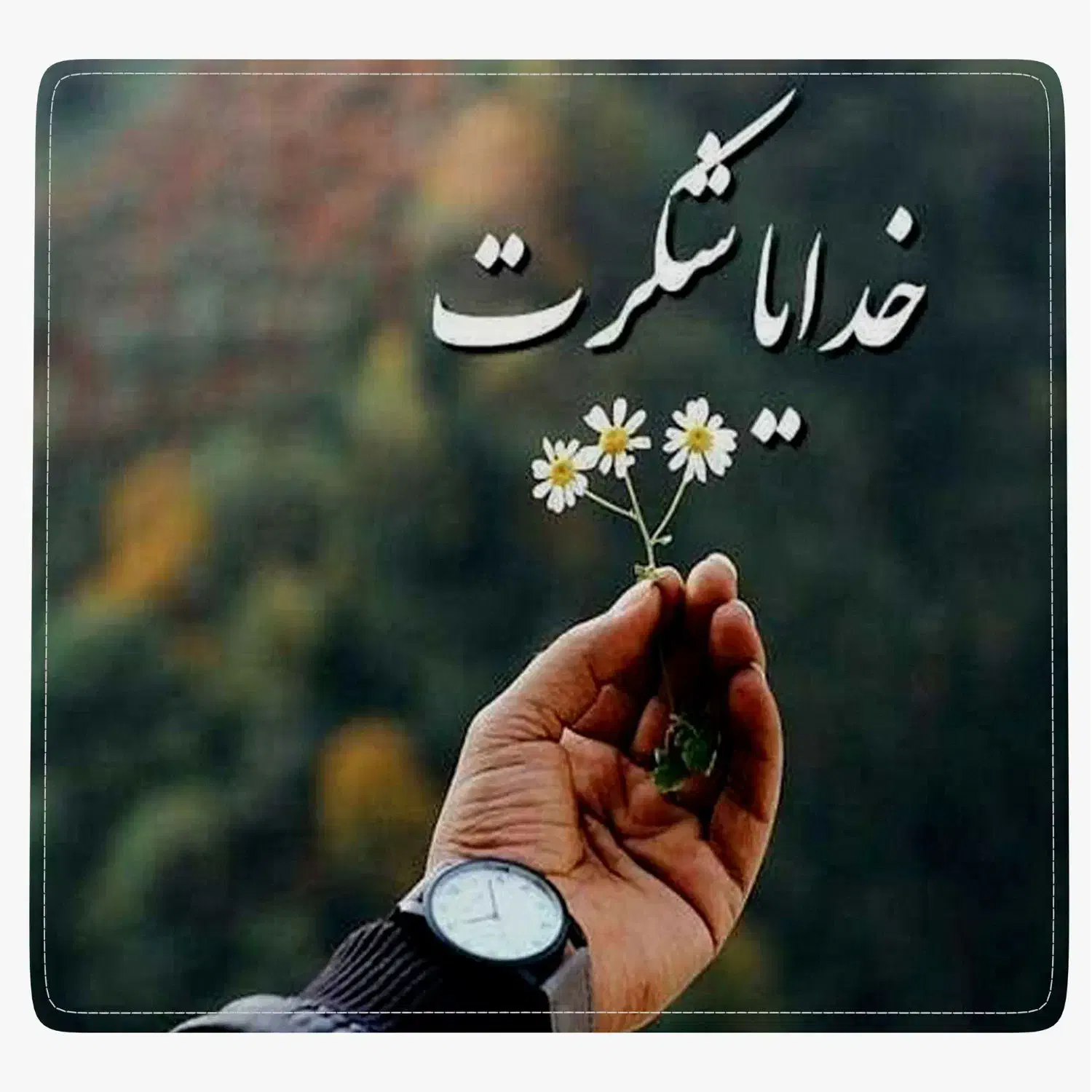 متقاضی‌ درخواست خرید خونه|فعالیت داوطلبانه تحقیقاتی|بندرعباس, |دیوار