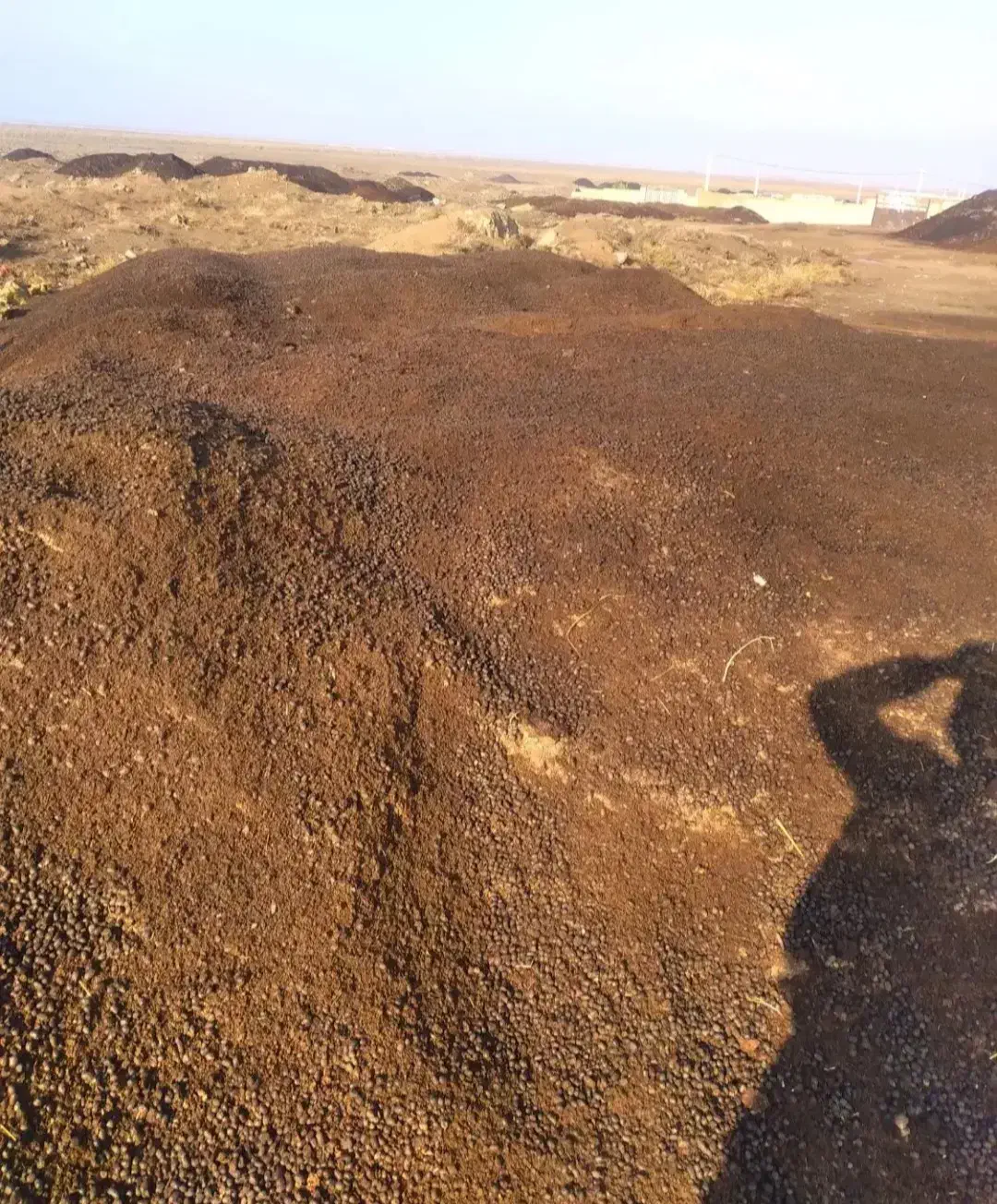 پخش انواع کود حیوانی پوسیده|خدمات باغبانی و درختکاری|کرج, کمالشهر|دیوار