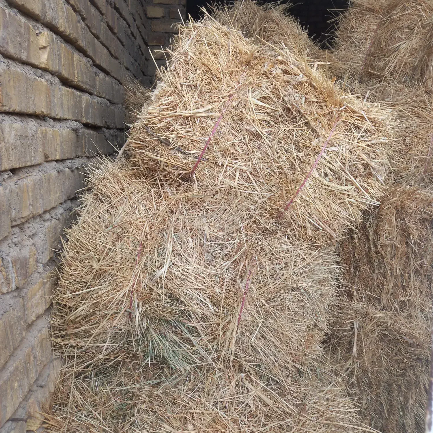 کاه|حیوانات مزرعه|شازند, |دیوار