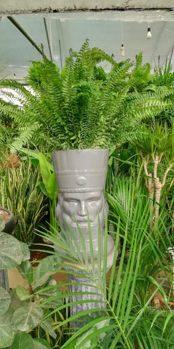 به آقا و خانم جهت کار و فروشندگی گلخانه نیازمندیم|استخدام خدمات فروشگاه و رستوران|کرمانشاه, |دیوار