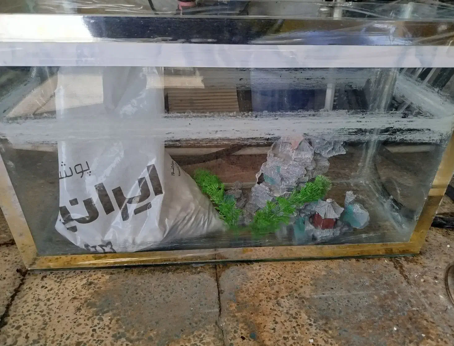 آکواریوم|ماهی|ایلام, |دیوار