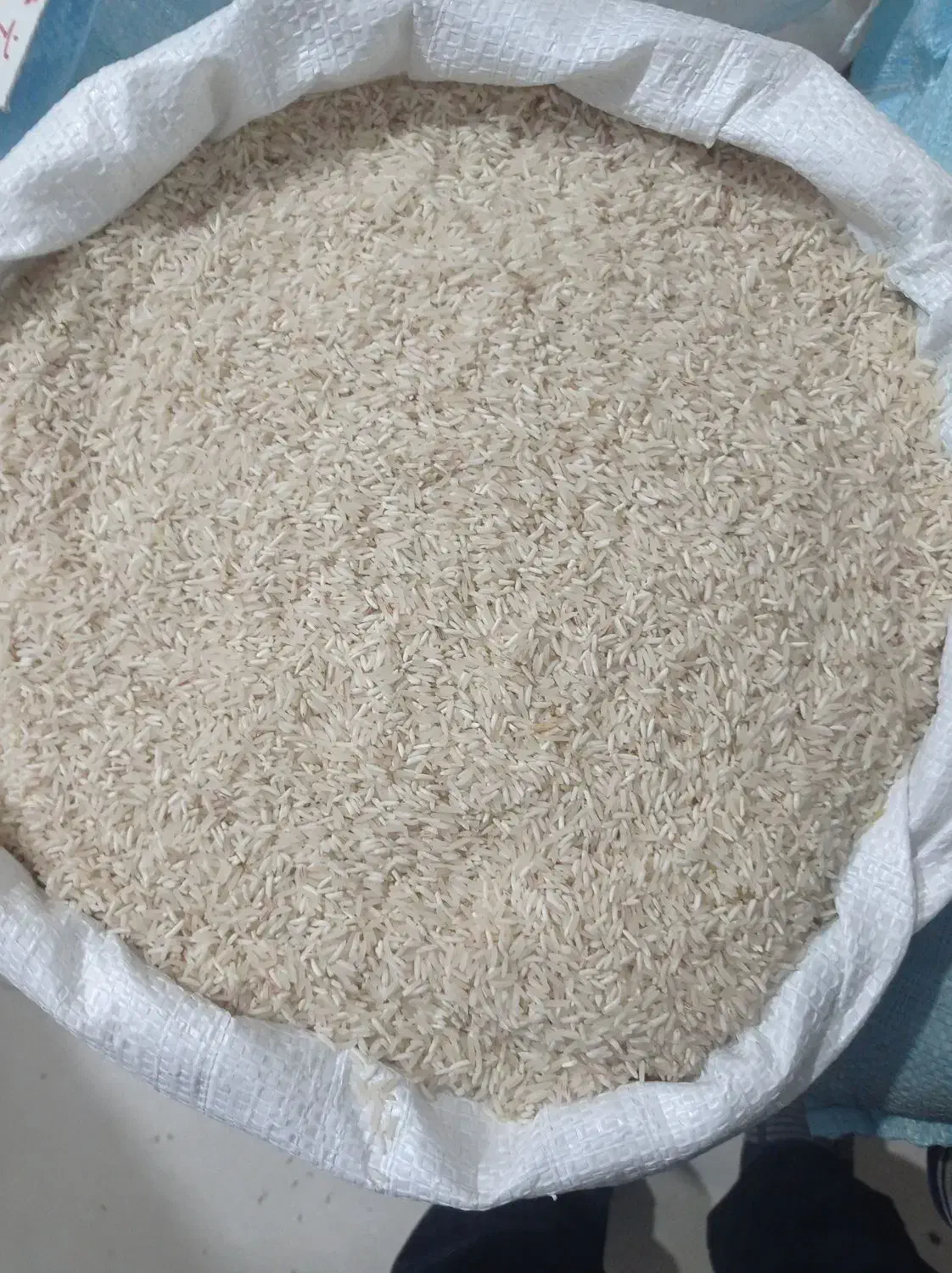 برنجشالی محلی فجر|خوردنی و آشامیدنی|آزادشهر, |دیوار