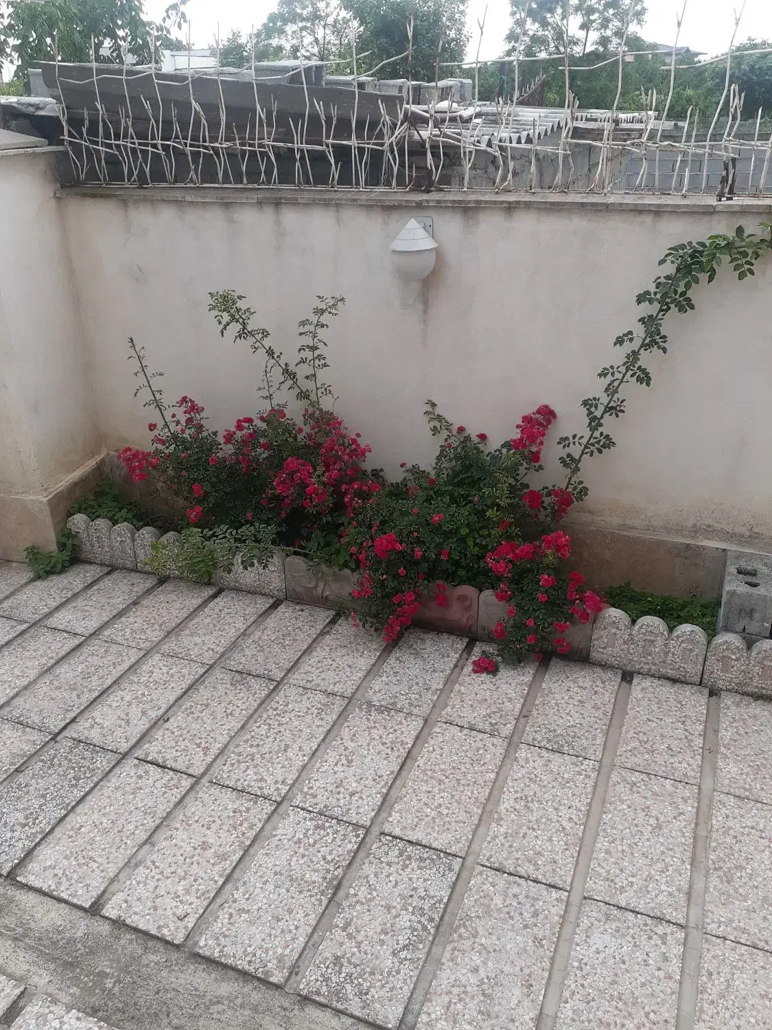 سالانه ملک اجاره ای رامسر ویلا دربستی|اجارهٔ خانه و ویلا|دالخانی, |دیوار