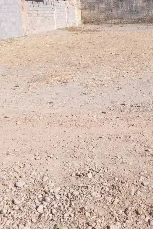 فروش زمین|فروش زمین و ملک کلنگی|فلاورجان, |دیوار