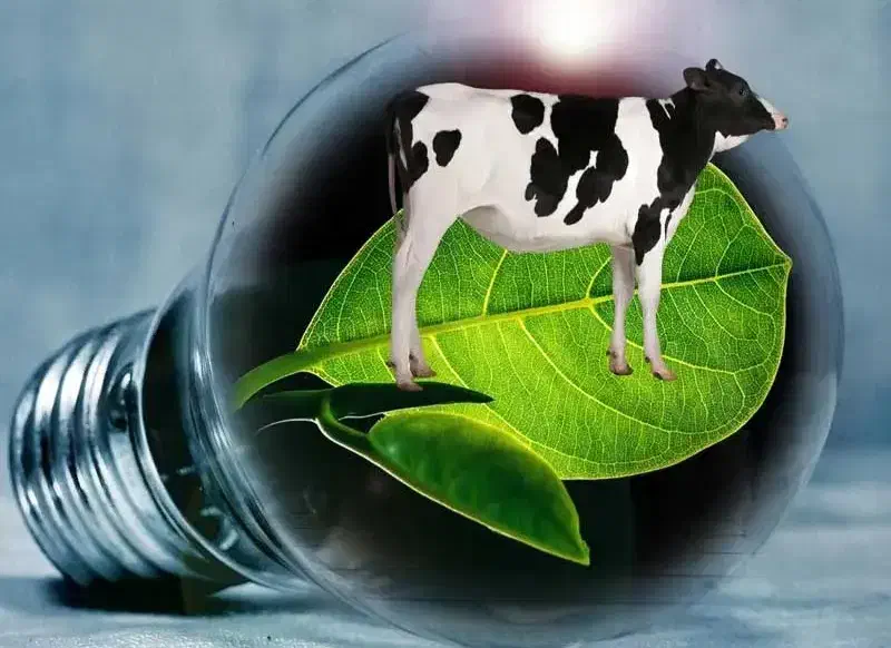 کود مایع بیوگاز تقویتی قوی برای رشد همه گیاهان|حراج|اصفهان, مسجد مصلی|دیوار