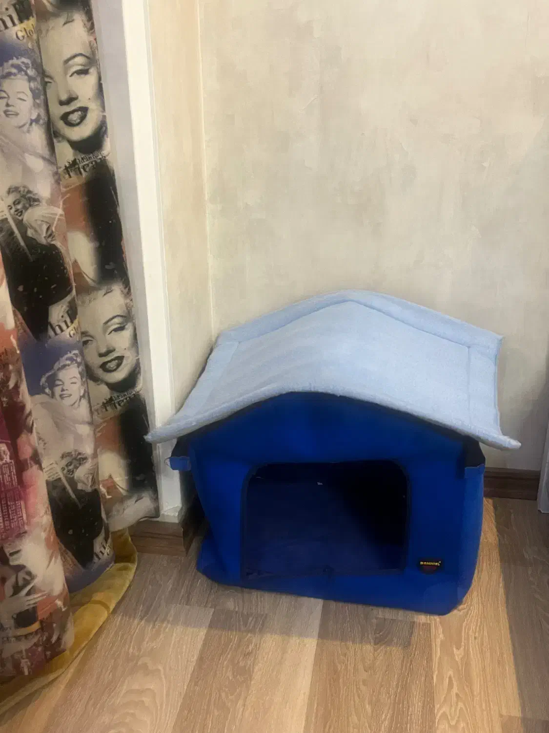 لباس مجلسی|لباس|رودهن, |دیوار