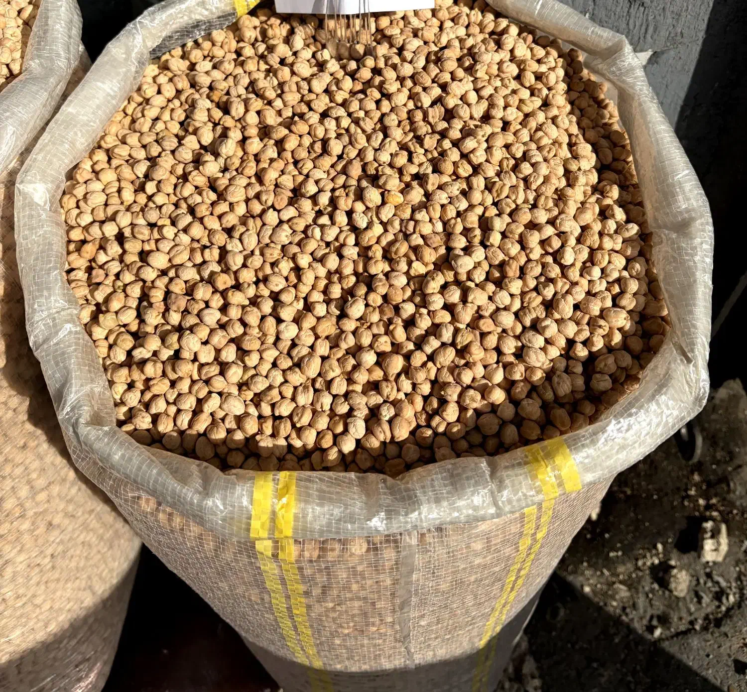 نخود و لوبیا و تخمه|خوردنی و آشامیدنی|تهران, مولوی|دیوار