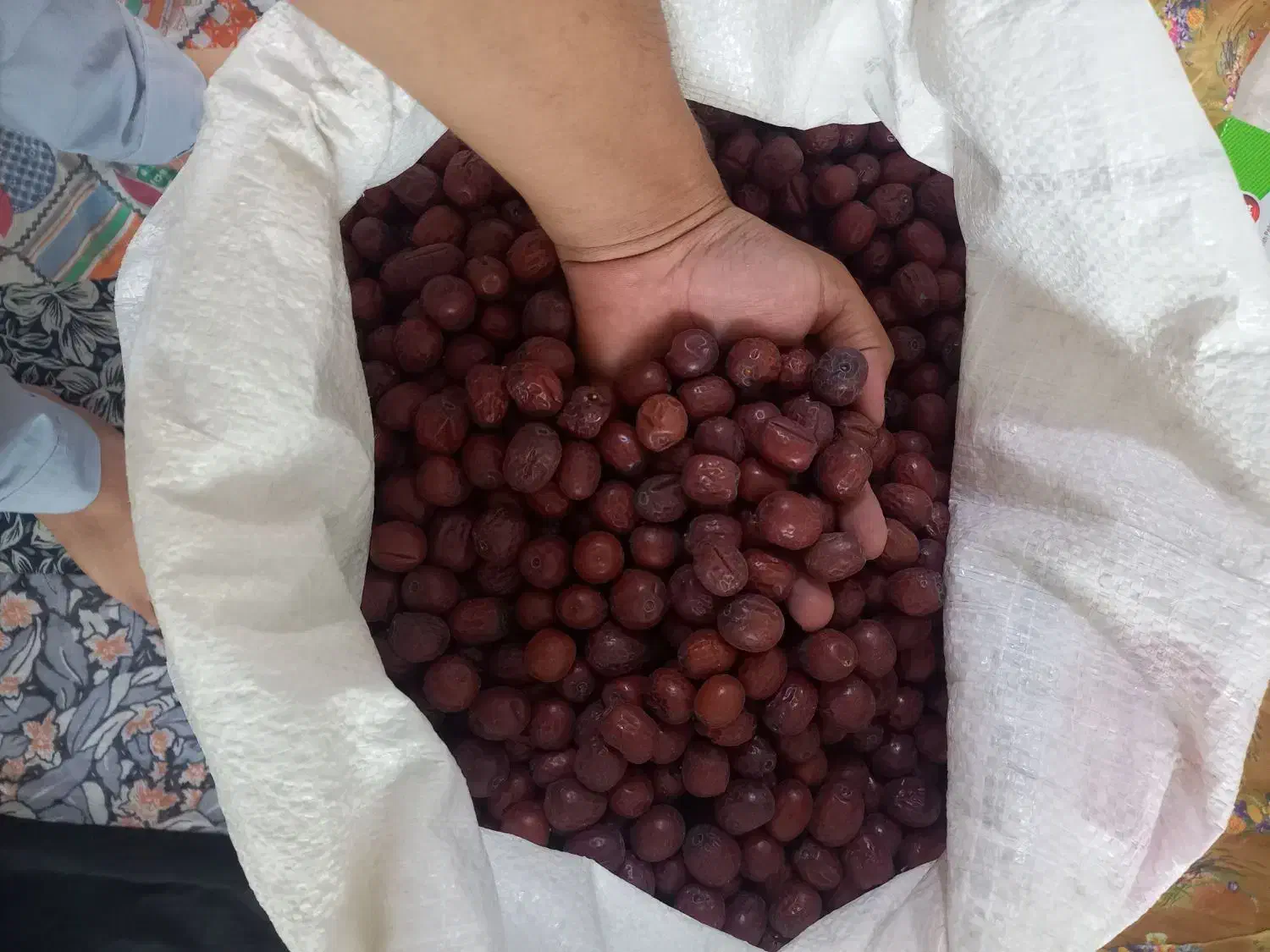 عناب، و حبه عناب قائنات|خوردنی و آشامیدنی|قم, شهرک امام حسین|دیوار
