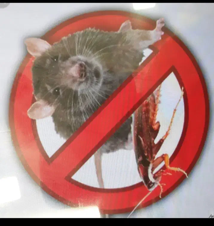 خدمات سم پاشی|خدمات نظافت|گلبهار, شهر جدید گلبهار|دیوار