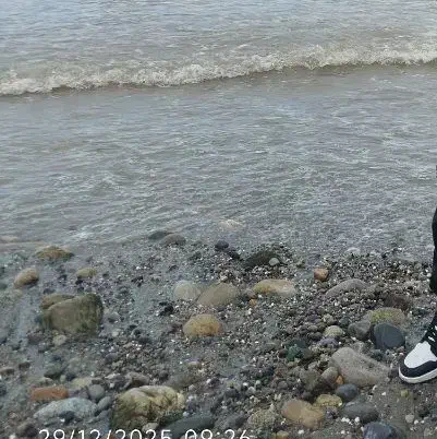 همخونه|اجارهٔ آپارتمان|قم, دورشهر|دیوار