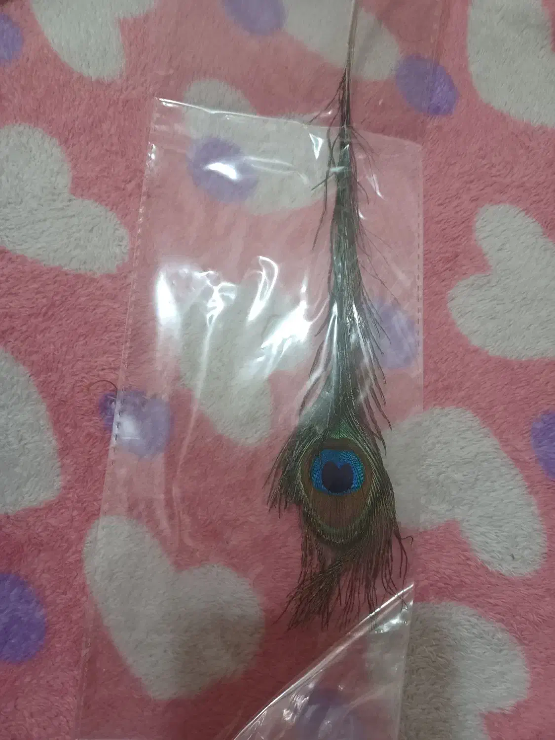 تعدادی پر زینتی|صنایع دستی و سایر لوازم تزئینی|قم, صفاشهر|دیوار