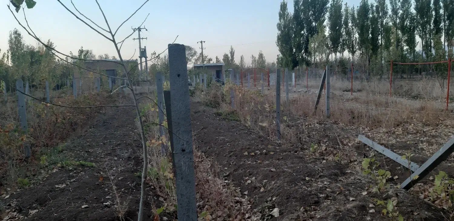 فروش باغ در جاده  توریستی دستاران|فروش دفتر صنعتی، کشاورزی، تجاری|خرمدره, |دیوار