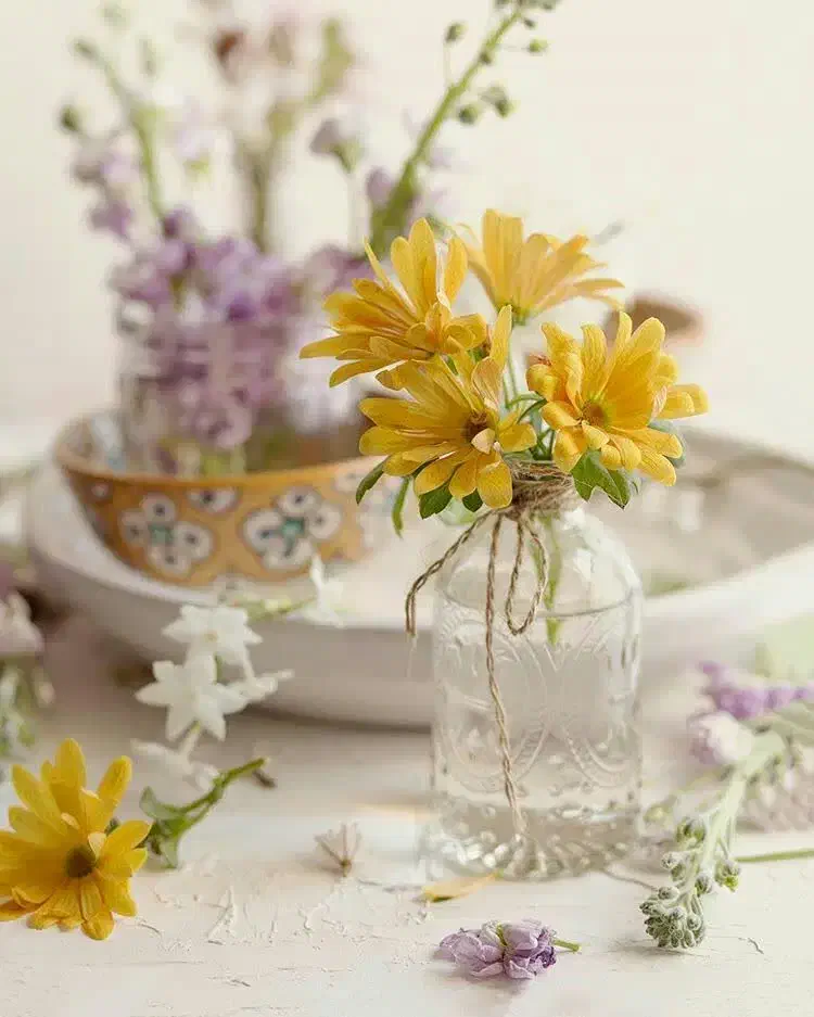 طراحی و اجرا فضاسبز|خدمات باغبانی و درختکاری|ایلام, |دیوار
