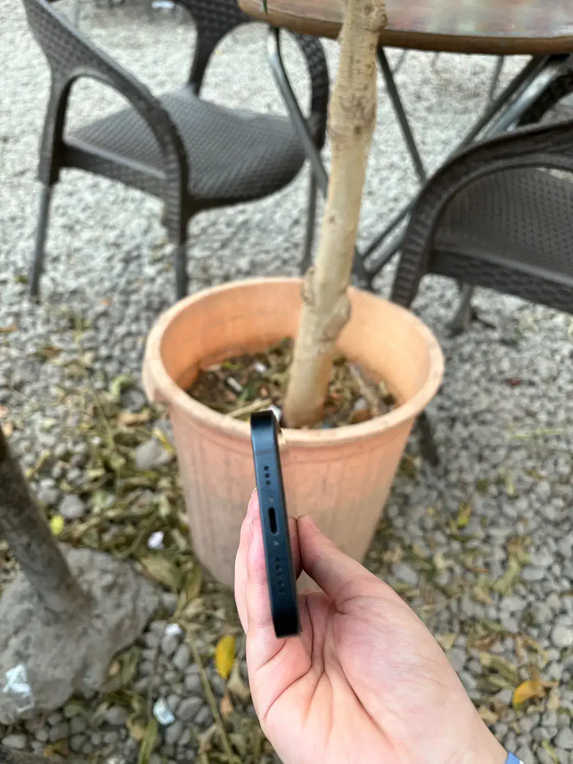 ایفون ۱۳|موبایل|تبریز, |دیوار