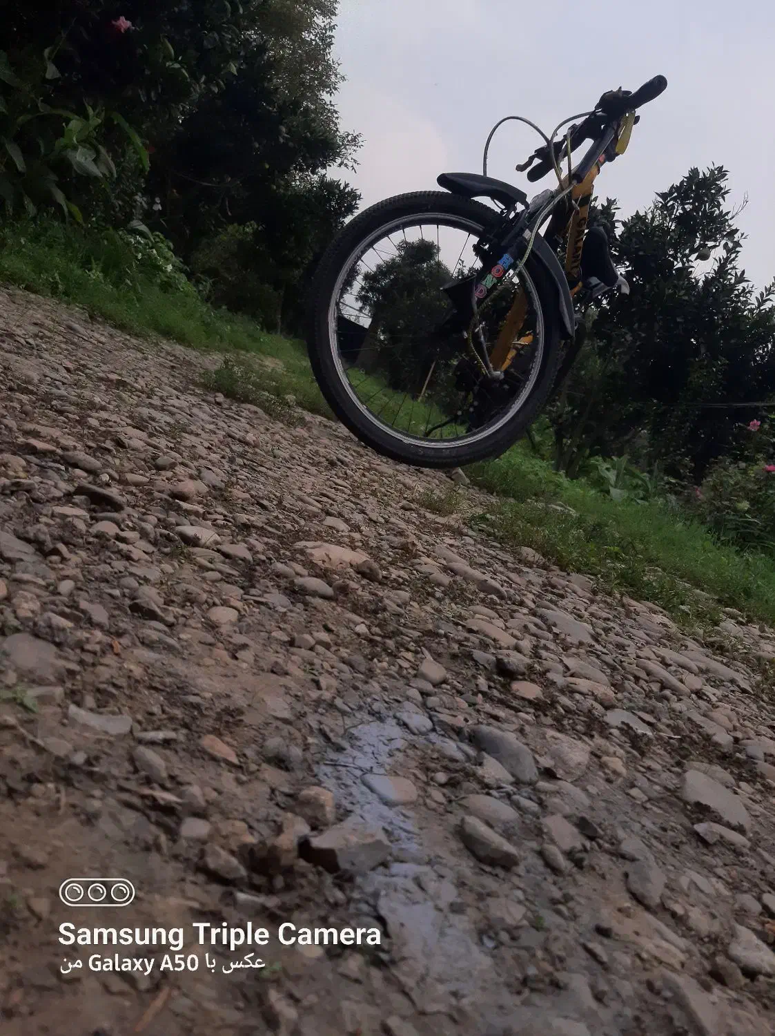دوچرخه سایز ۲۶ برند گالانت|دوچرخه، اسکیت، اسکوتر|طاهرگوراب, |دیوار