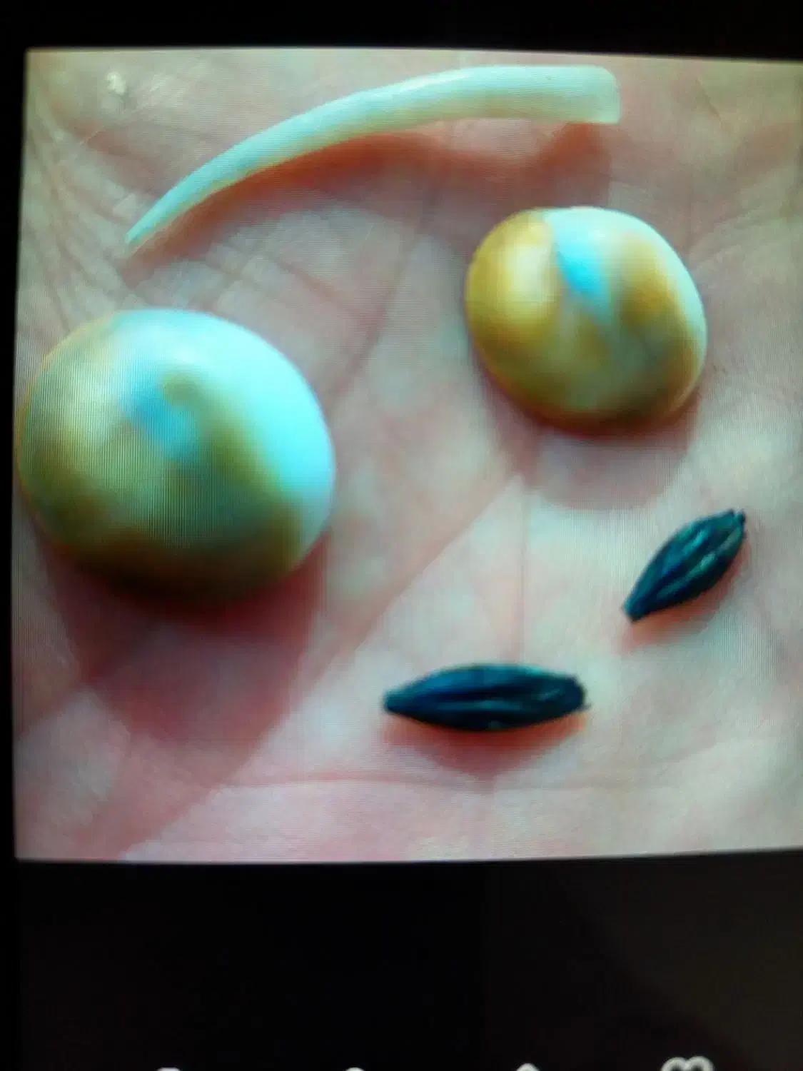 مهر  اصل|بدلیجات|سنندج, |دیوار