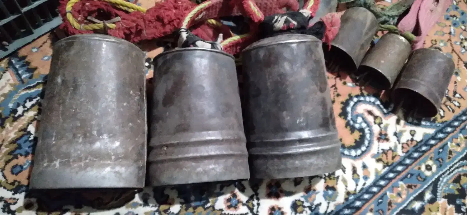 فروش زنگوله گوسفند|لوازم جانبی حیوانات|داران, |دیوار