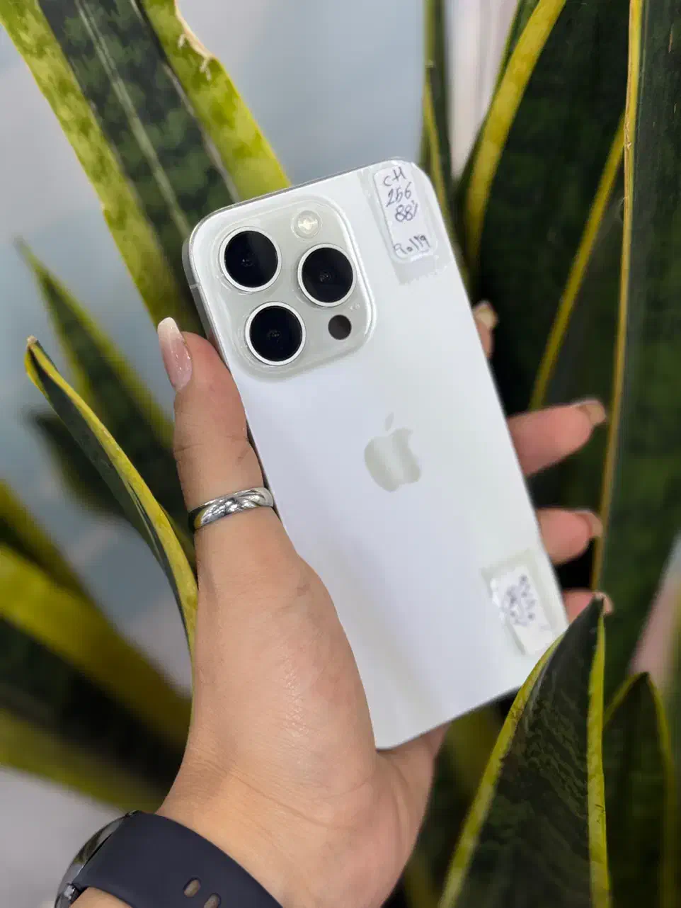 ۱۵پرو مرواریدی بدون خط|موبایل|اصفهان, مفتح|دیوار