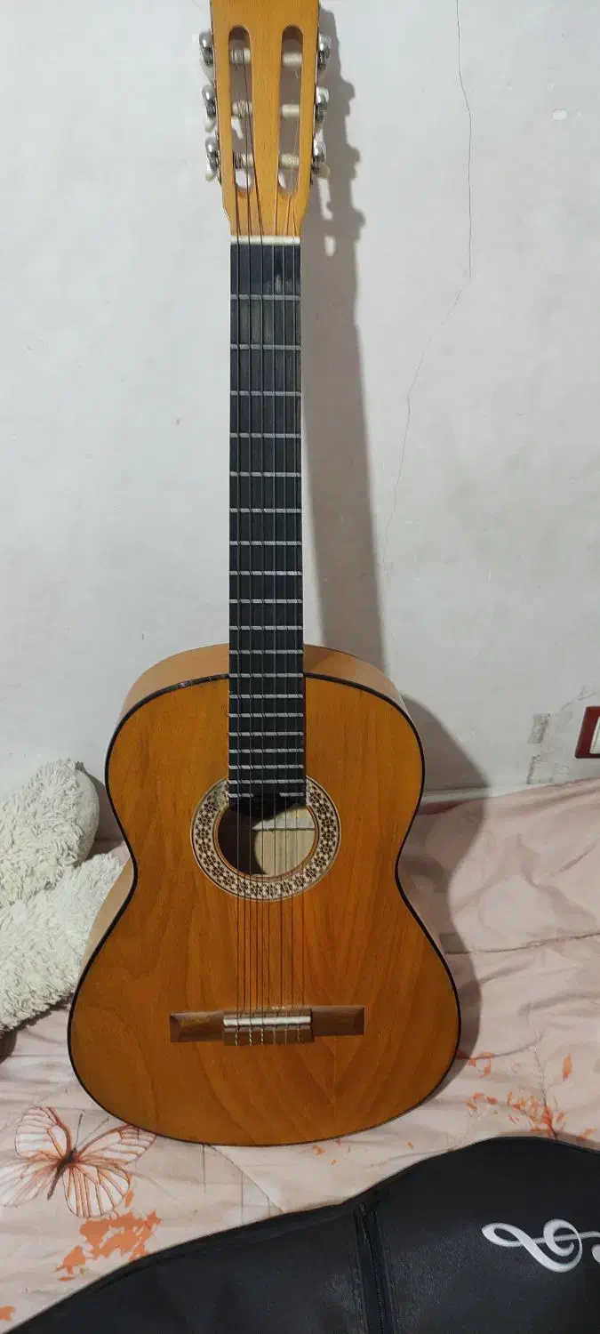 گیتار مدل m2|گیتار، بیس، امپلیفایر|کردکوی, |دیوار