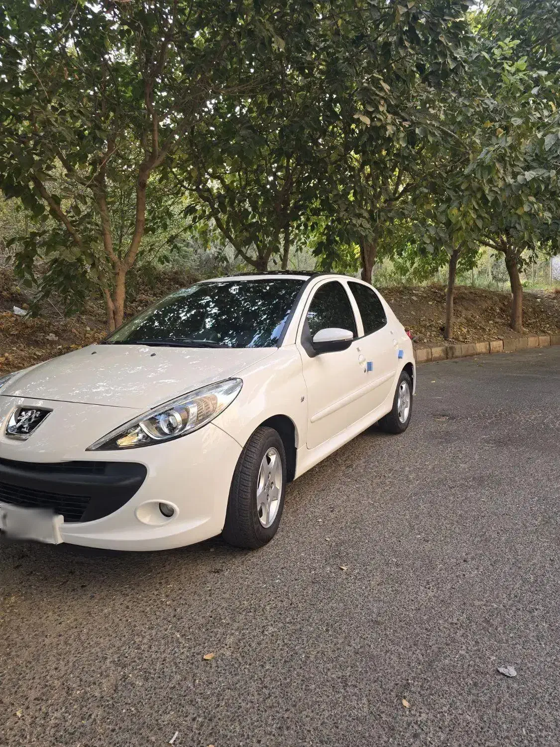 ۲۰۷ دنده پانا ارتقا ۸۵ گانه|خودرو سواری و وانت|تهران, شهرک چیتگر|دیوار