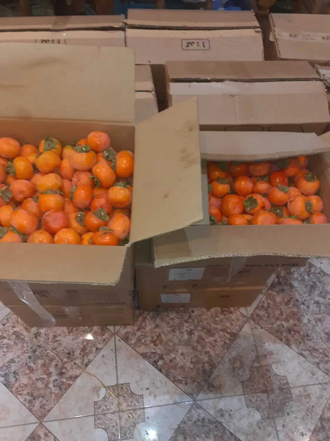 خرمالو درشت و متوسط|خوردنی و آشامیدنی|خلجستان, |دیوار