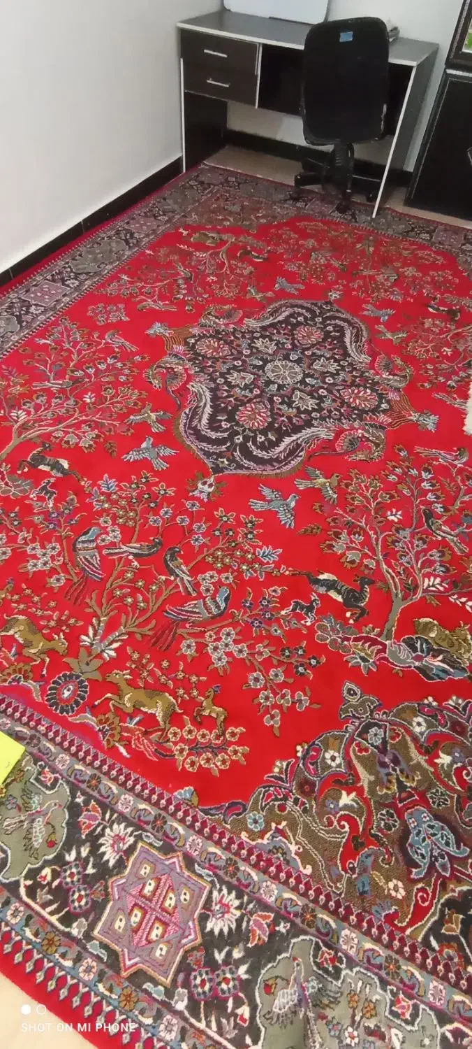 فرش 12متری|فرش|کوهدشت, |دیوار