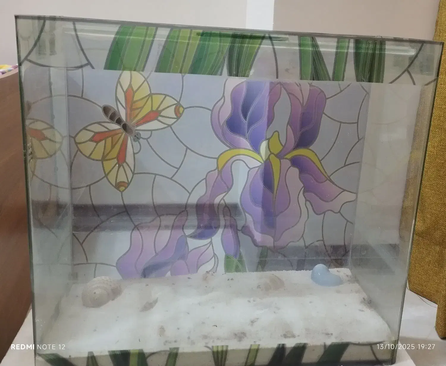 اکواریوم 60*55*30 شیشه خم|ماهی|فردیس, فردیس|دیوار