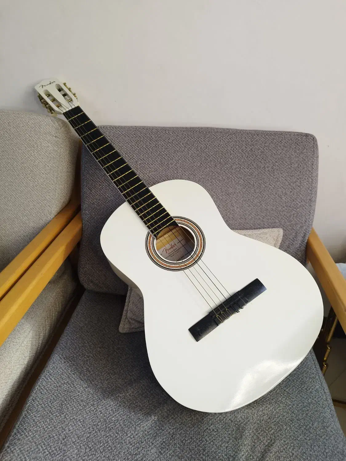 گیتار فندر کلاسیک|گیتار، بیس، امپلیفایر|فشاپویه, |دیوار