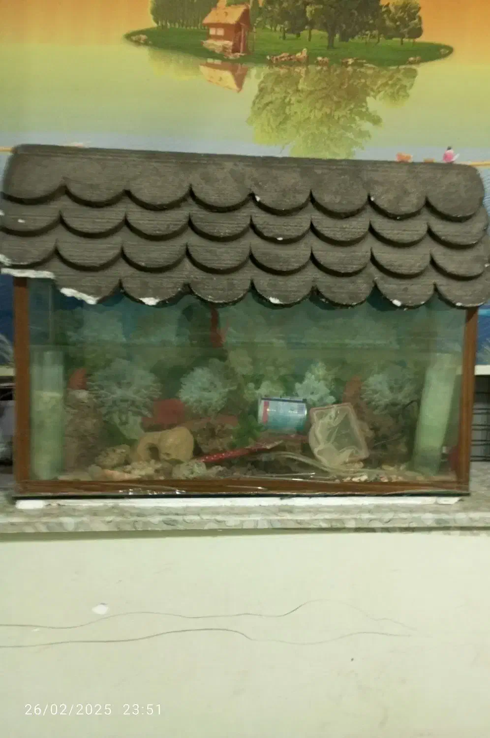 آکواریوم|ماهی|زاهدان, |دیوار