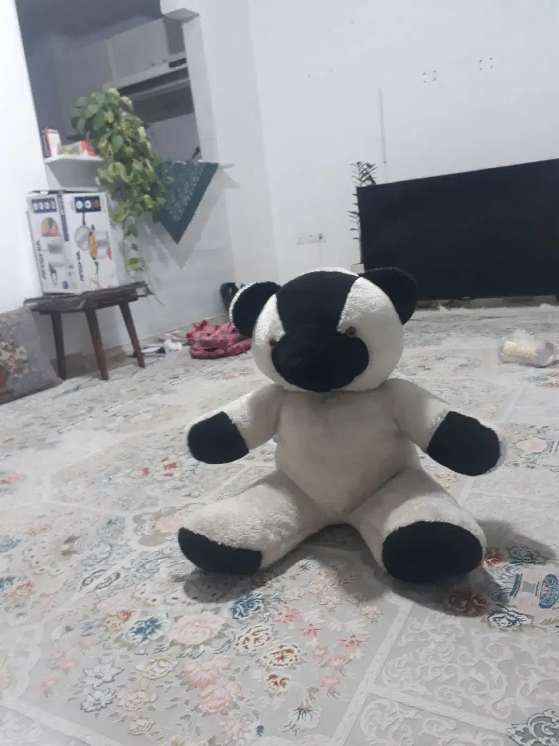 عروسک|اسباببازی بچه|سمنان, |دیوار