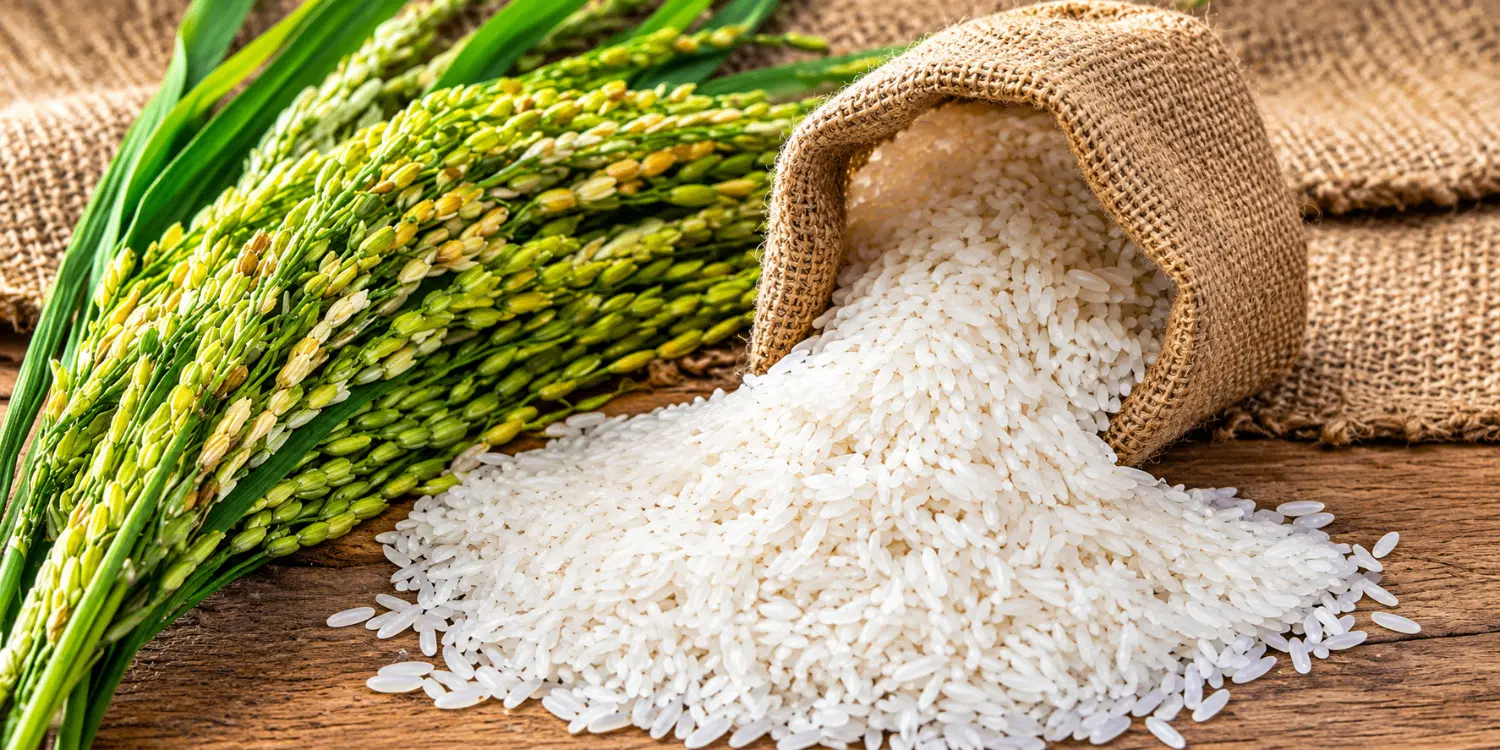 فروش برنج ممتاز گیلان|خوردنی و آشامیدنی|تهران, هفت حوض|دیوار