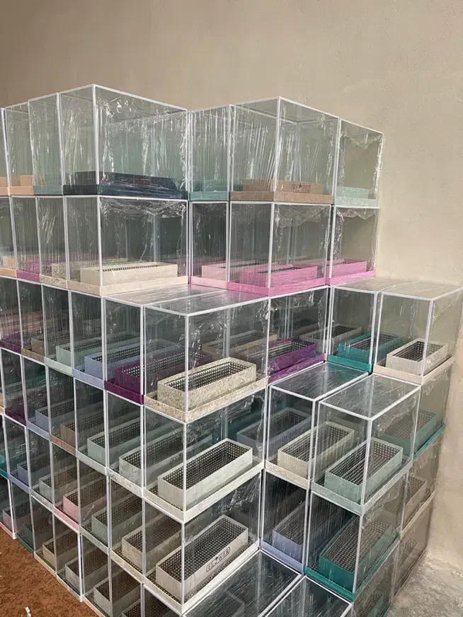 کارگرساده|استخدام صنعتی، فنی، مهندسی|تهران, شهرک رضویه|دیوار