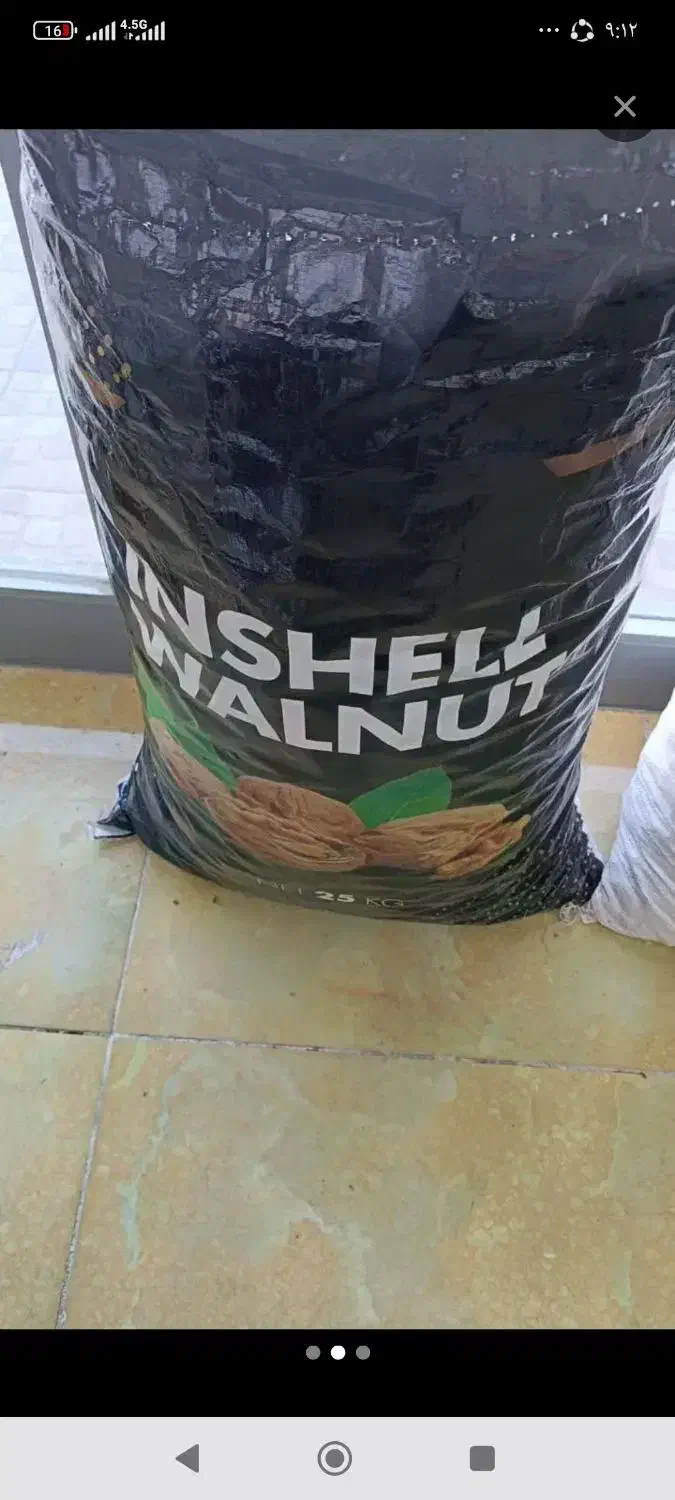 گردو آمریکایی|عمده‌فروشی|اهواز, شهرک دانشگاه|دیوار