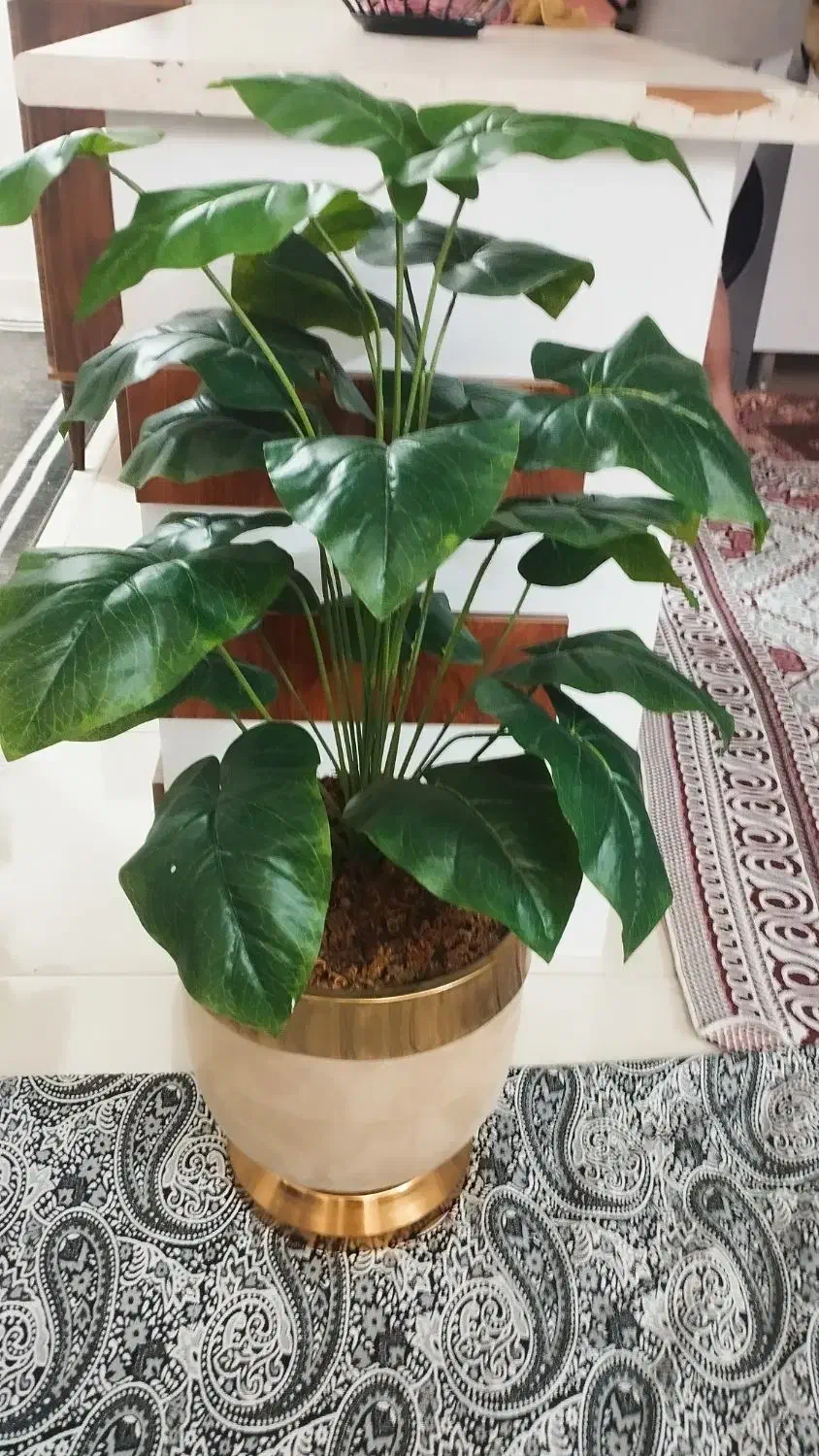 دو عدد گل مصنوعی شیک و جنس خوب|گل مصنوعی|قرچک, پویینک|دیوار