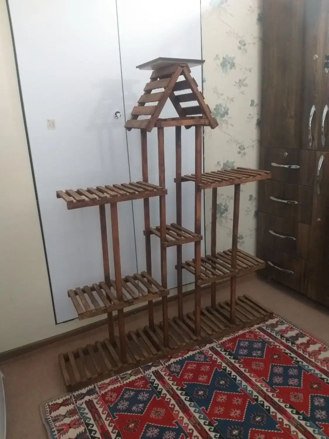 استند گل|گل و گیاه طبیعی|شیراز, کوشک میدان|دیوار