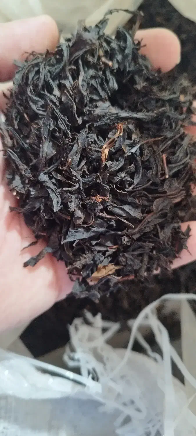 پخش خرمای کبکاب درجه یک و چای ممتاز بهاره ۱۴۰۴|خوردنی و آشامیدنی|رشت, گلسار|دیوار