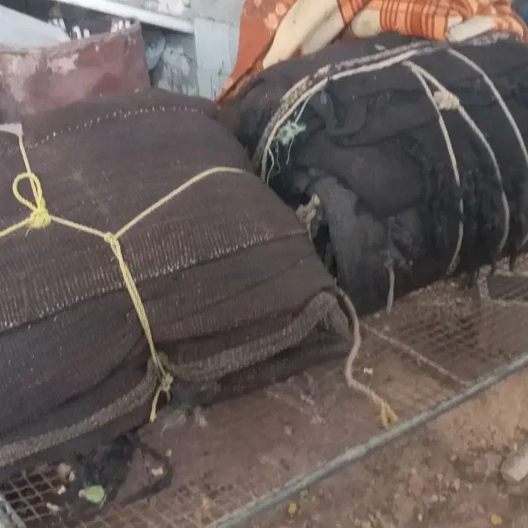 سیاه چادر(بهون)|کوهنوردی و کمپینگ|مسجد سلیمان, |دیوار