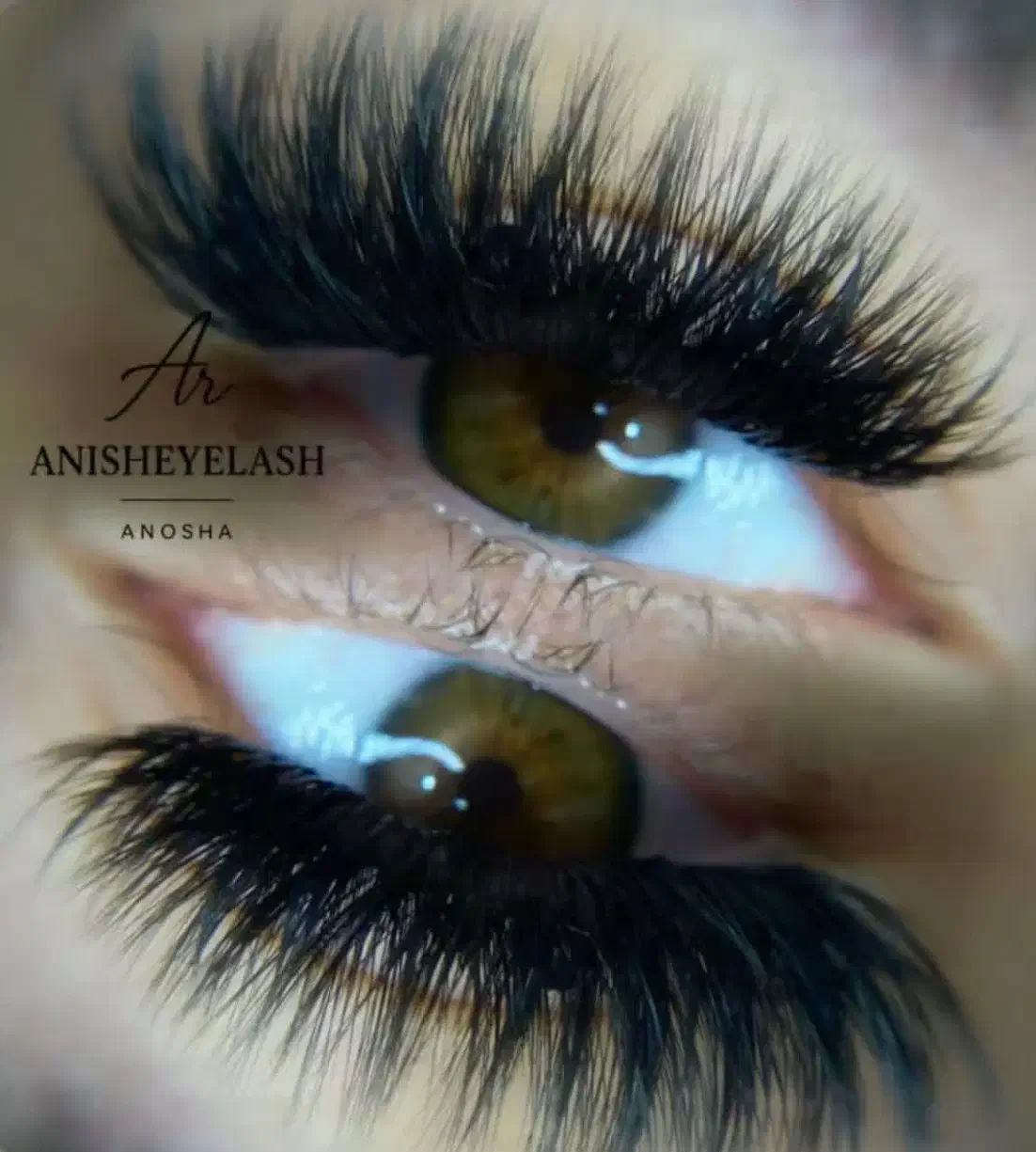 تخفیف ویژه یلدایی برای تمامی خدمات کاشت مژه|خدمات آرایشگری و زیبایی|رشت, گلسار|دیوار