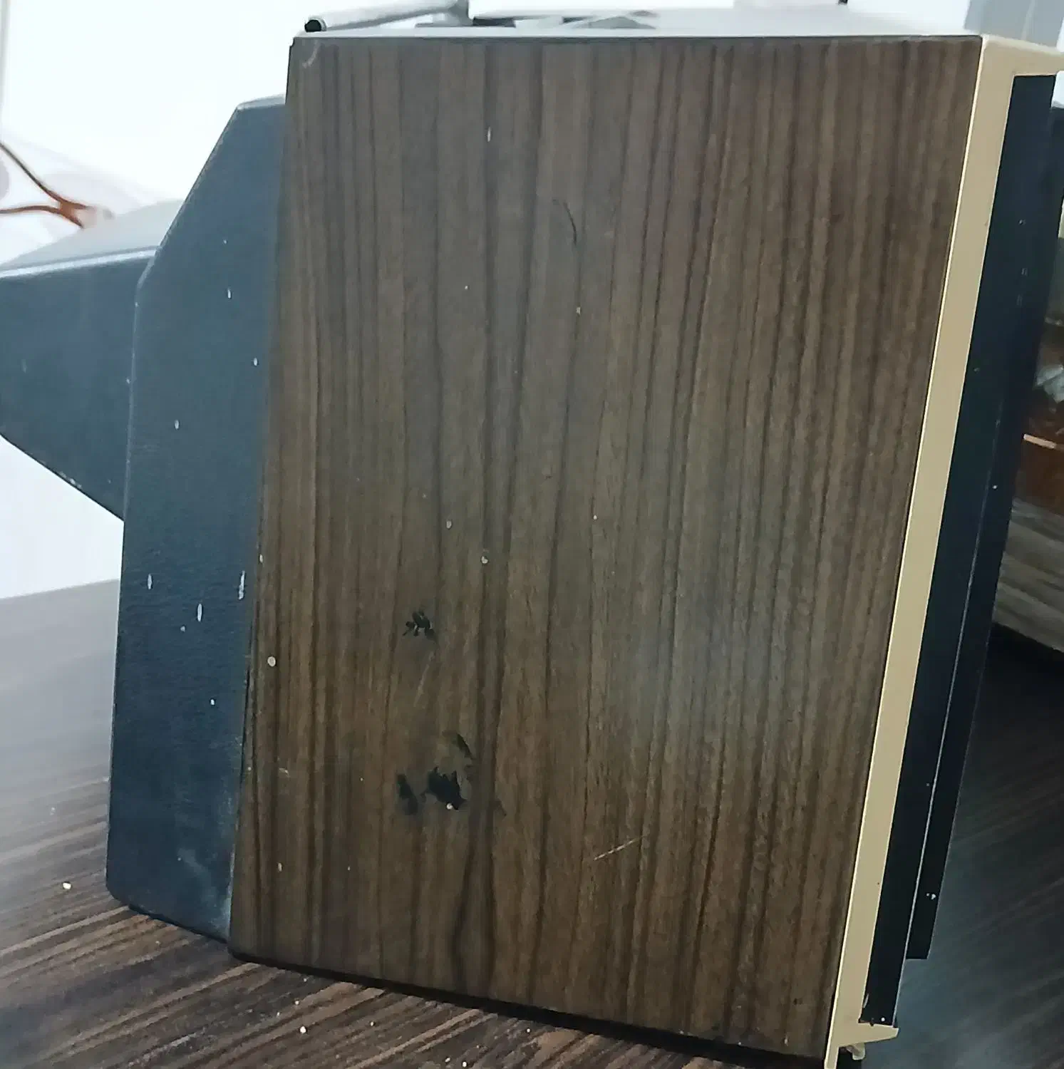 تلویزیون دکوری|تلویزیون و پروژکتور|اردبیل, |دیوار