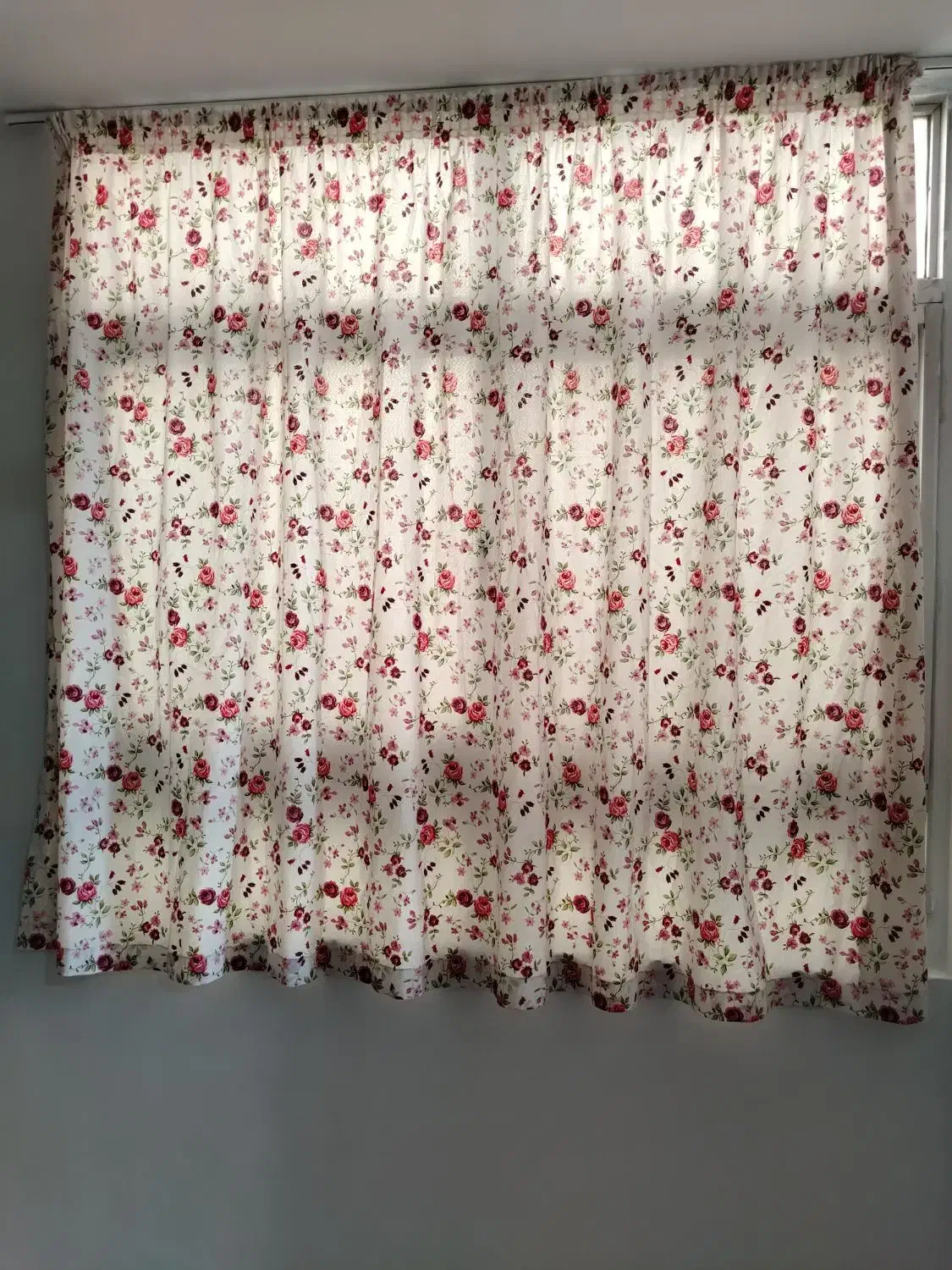 پرده ها به صورت تک و باهم|پرده، رانر، رومیزی|سمنان, |دیوار