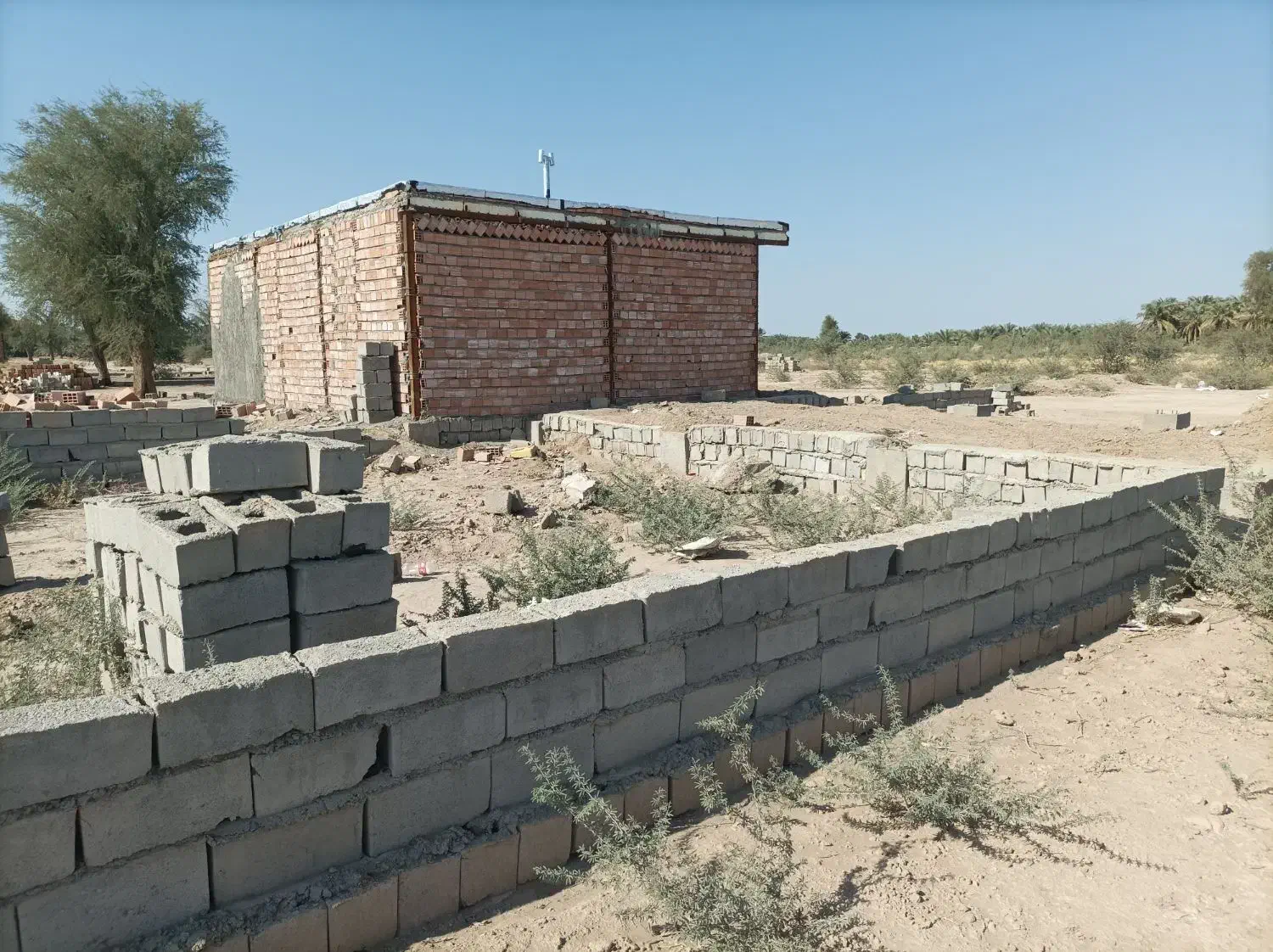 زمین فروشی ریگان|فروش زمین و ملک کلنگی|ریگان, |دیوار