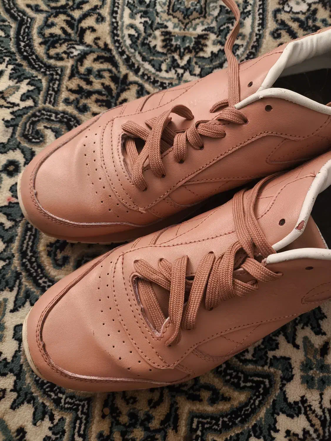 کفش|کیف، کفش، کمربند|شیراز, سرو|دیوار