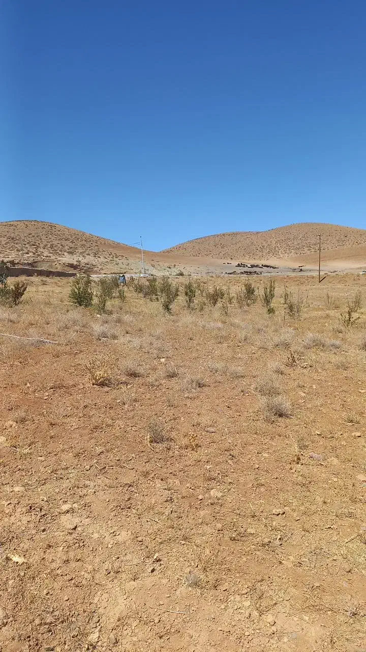 زمین در فراموشجان ۲۰ کیلومتر بالاتر از چادگان|فروش زمین و ملک کلنگی|خمینیشهر, |دیوار