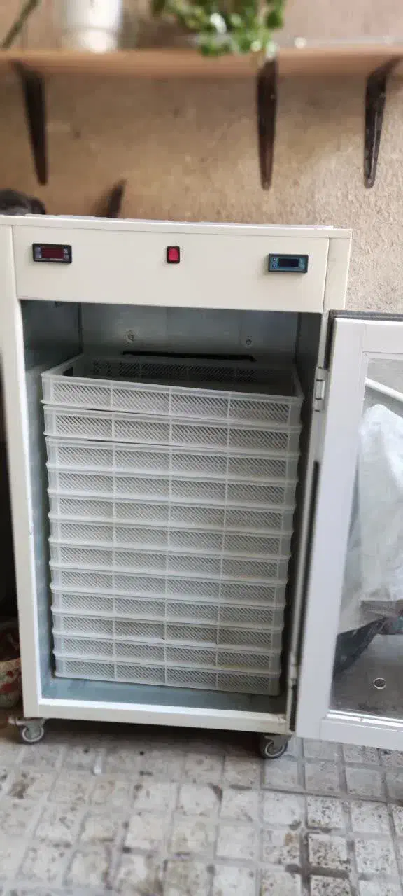 دستگاه میوه و سبزی خشک کن در حد نو|سایر لوازم برقی|اسلامشهر, شهرک واوان|دیوار