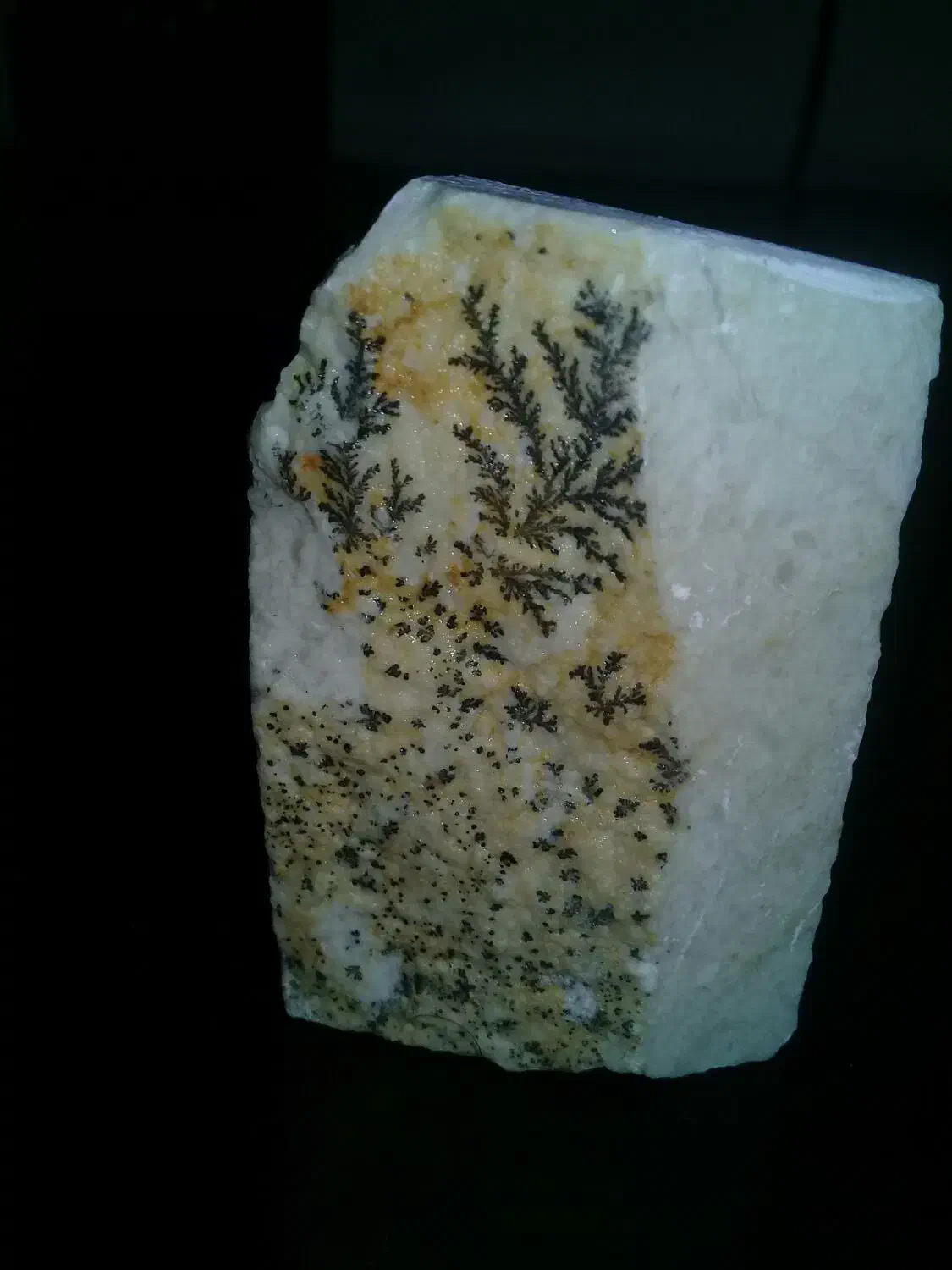 سنگ شجر عتیقه وکلکسیونی قدمت دار|کلکسیون اشیاء عتیقه|تهران, شمیراننو|دیوار